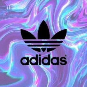 Meet your Posher, Stella